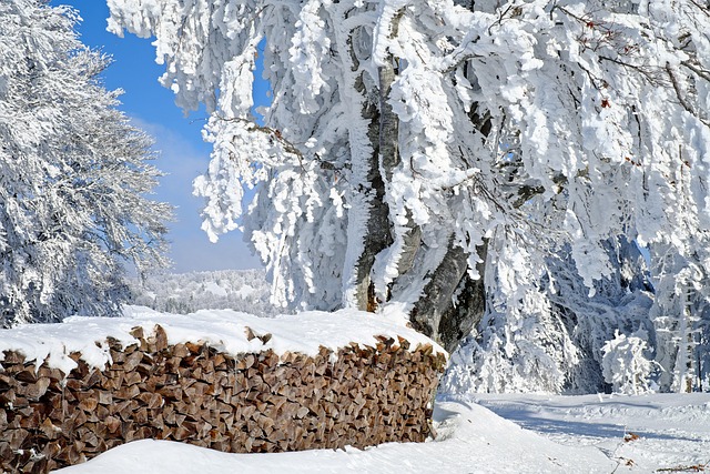 Téli tűzifa méretek